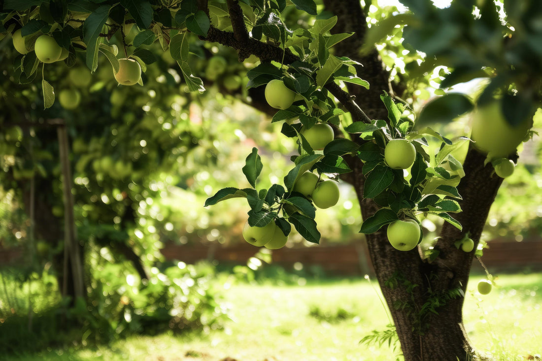 Do you have questions about fruit trees? We have answers!