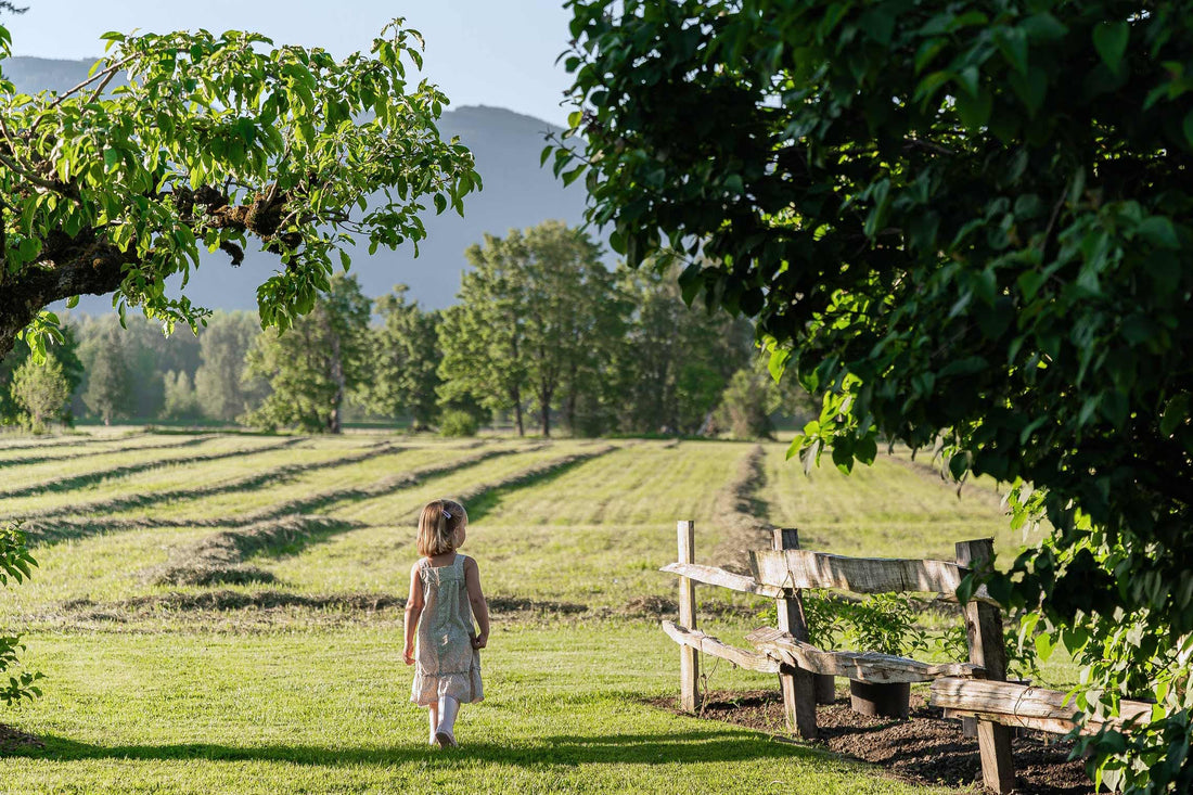 Planning - The Orchardist Part 1