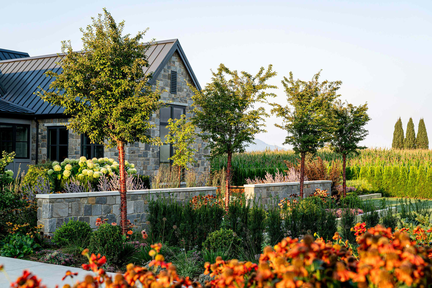 View of front garden and house in the background.