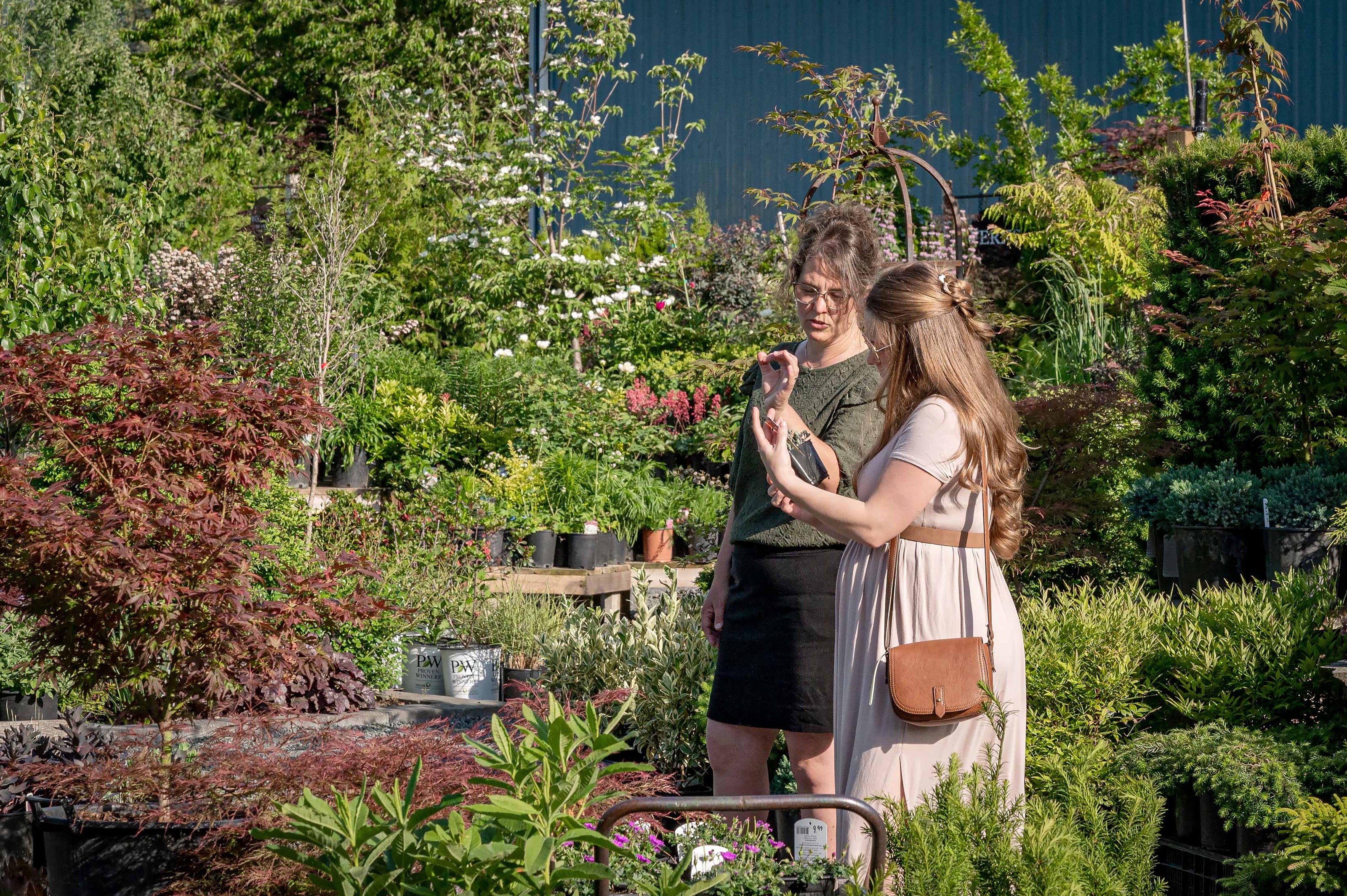 Beautiful woman and owner chat about plant information in the garden centre.