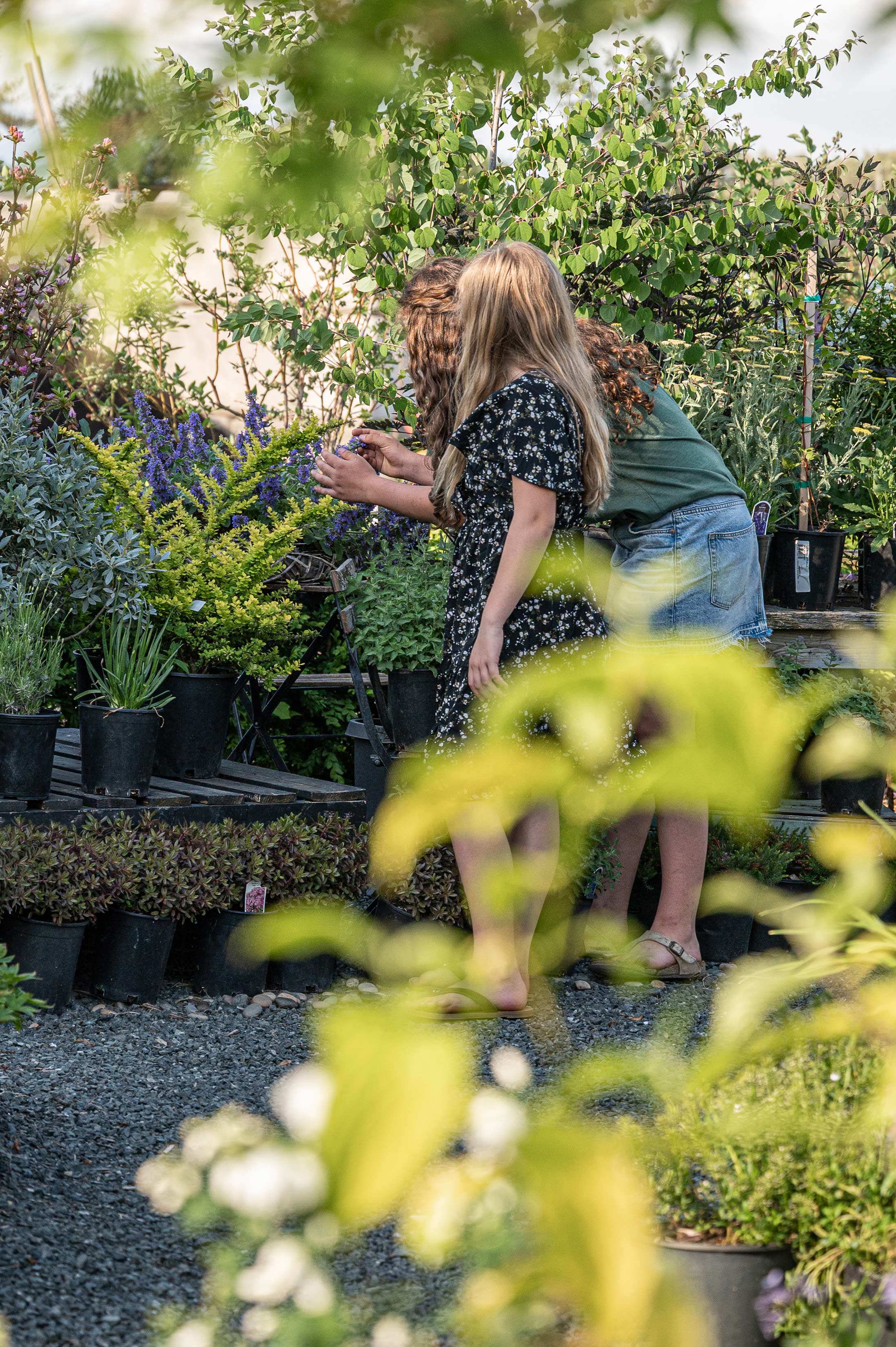 Two young women examine a plant in the garden.