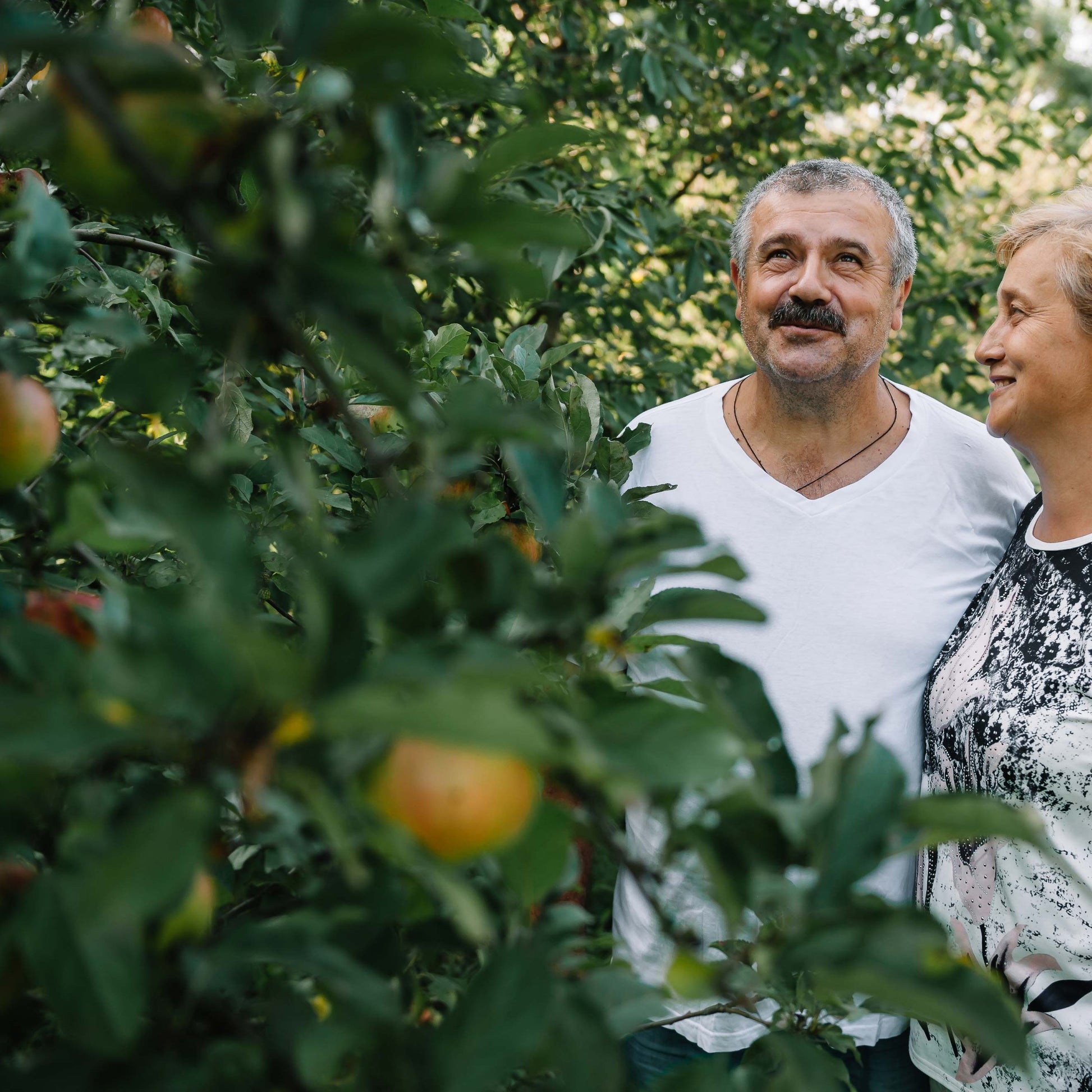 Man and woman admire fruit trees.