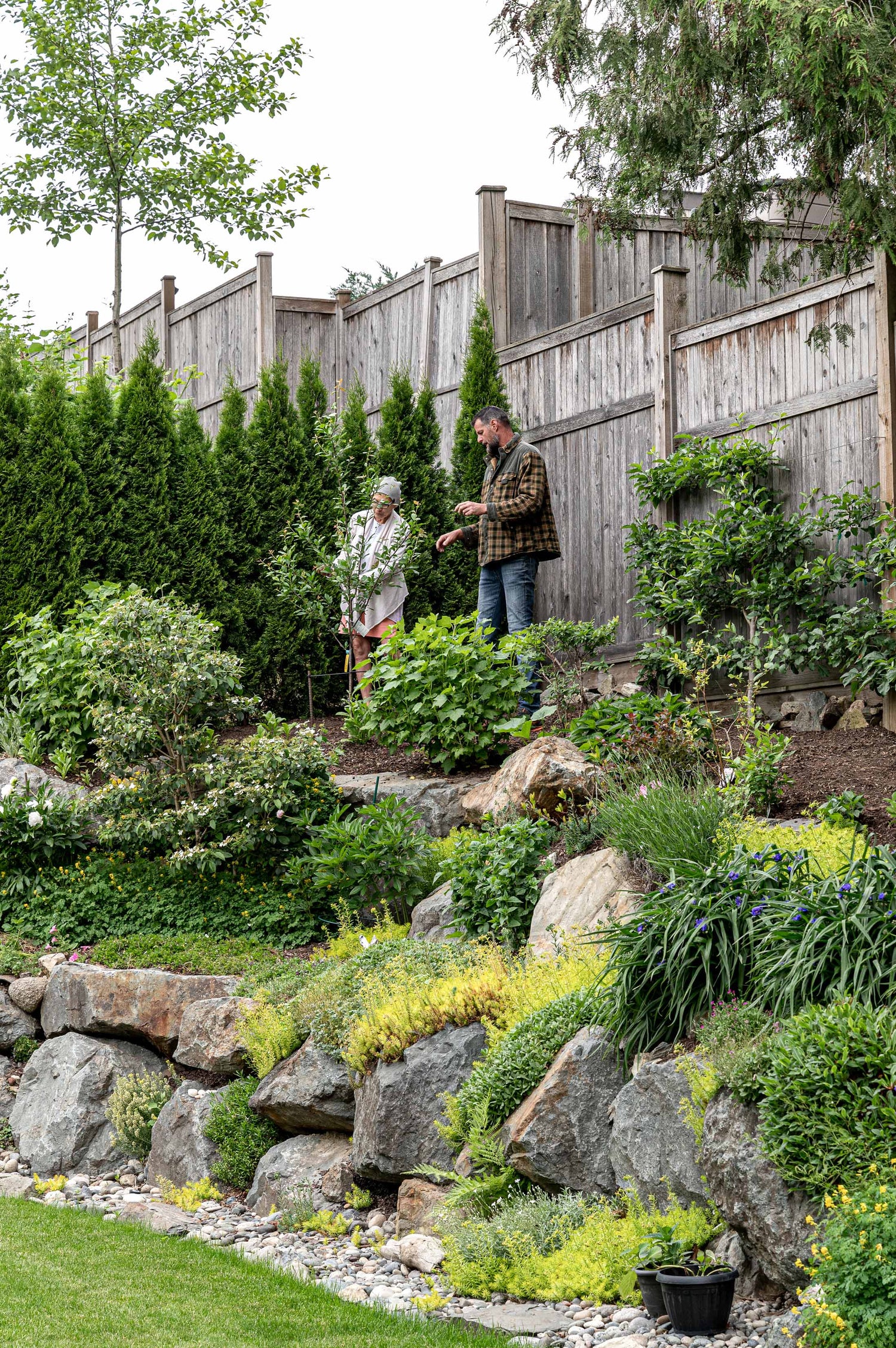 Jack and client discuss fruit trees at the top of a tiered garden.