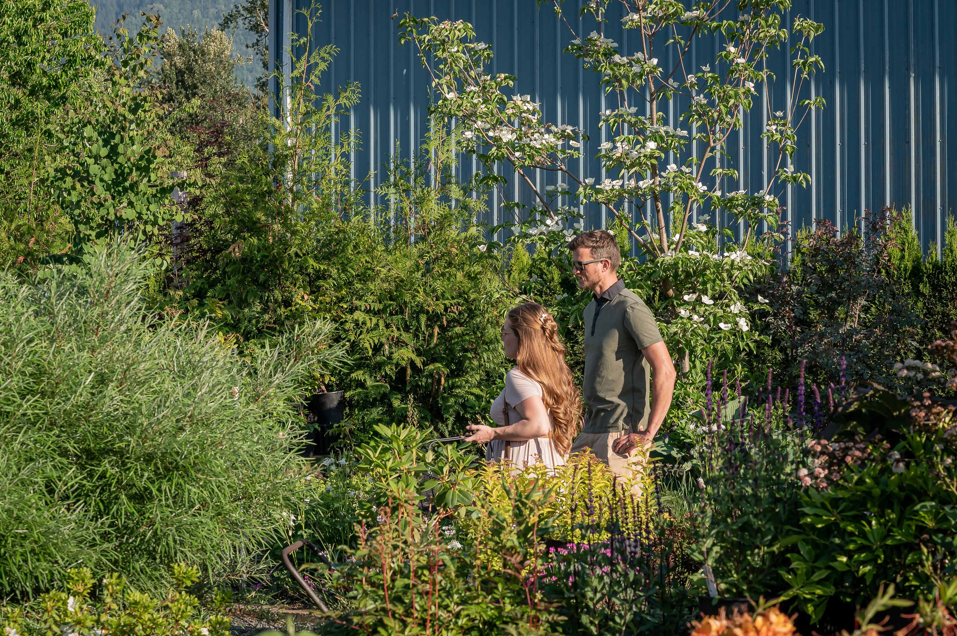 Beautiful woman and her husband shop in the garden centre.