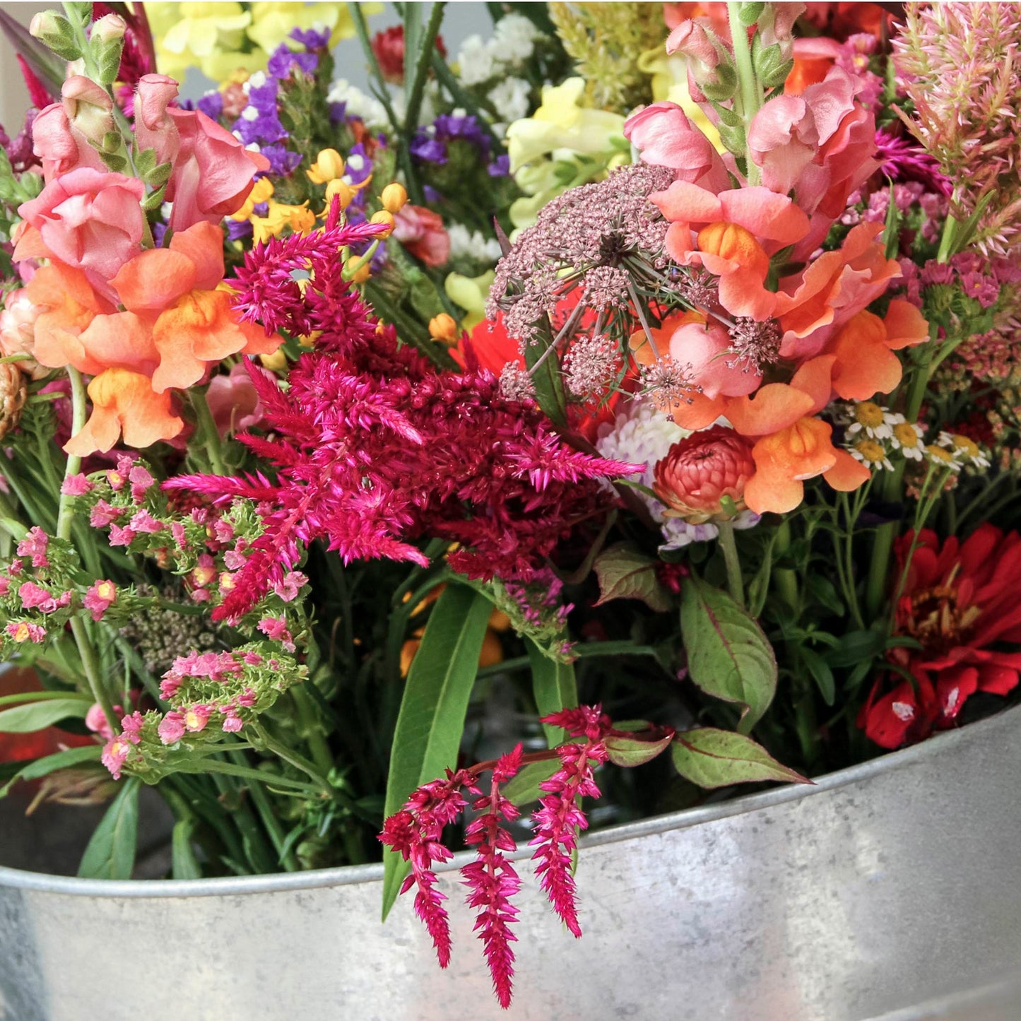 Cut-Flower Tray | Vibrant