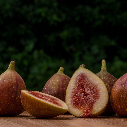 Close up of figs on a branch