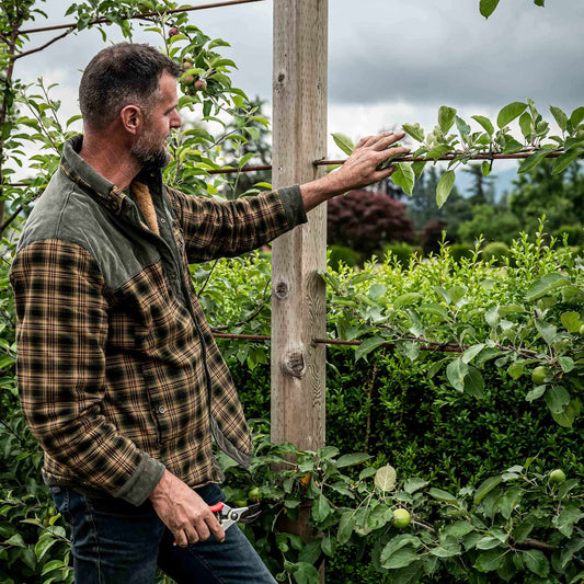 Jack demonstrating pruning plant trees.