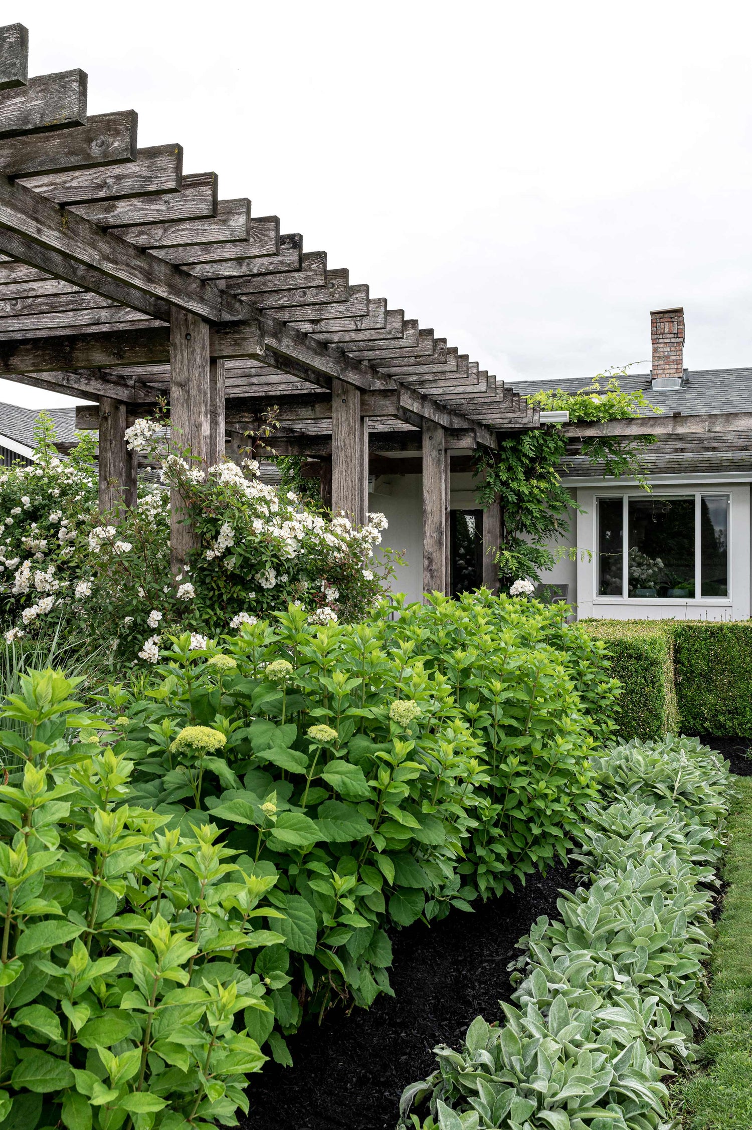 Pelly road gardens, view of pergola that covers front entry. 