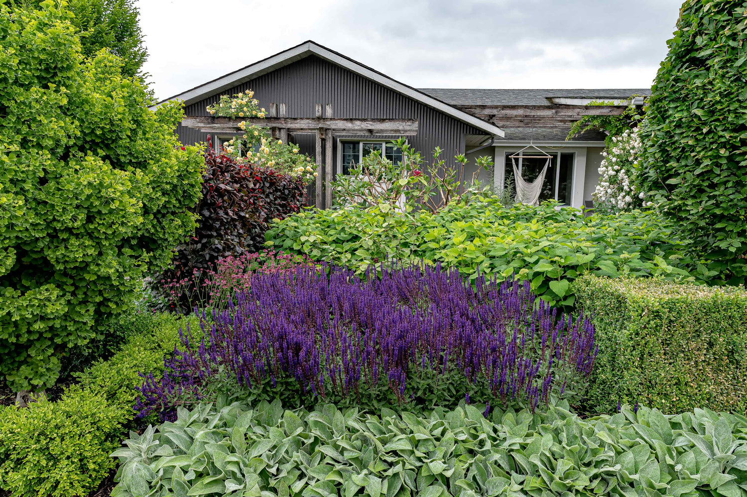 Front view of Pelly road homwe with gardens. 