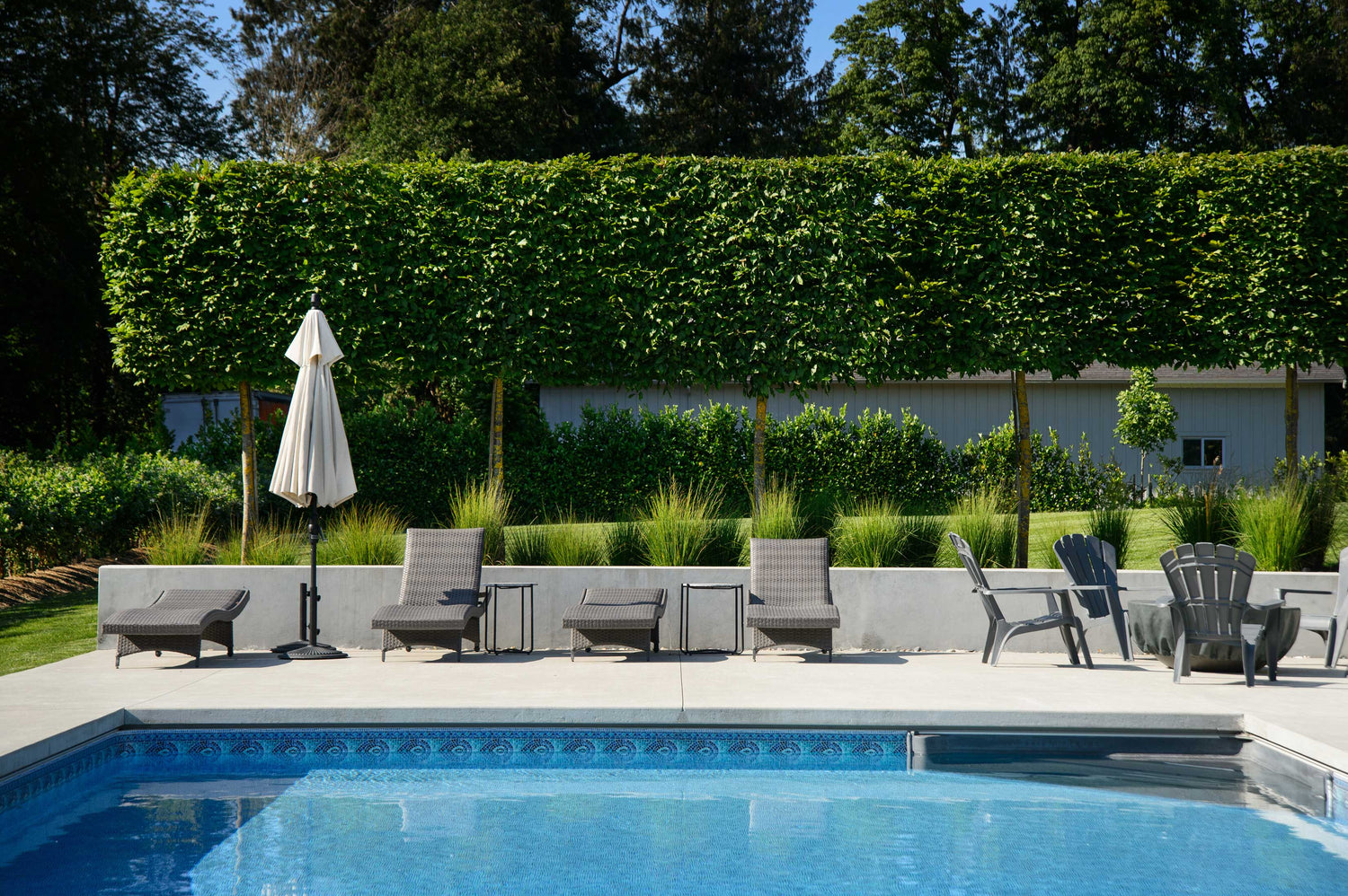 Landscape design showing blue pool, lawn furniture and impressive square shaped topiary trees in the background. 