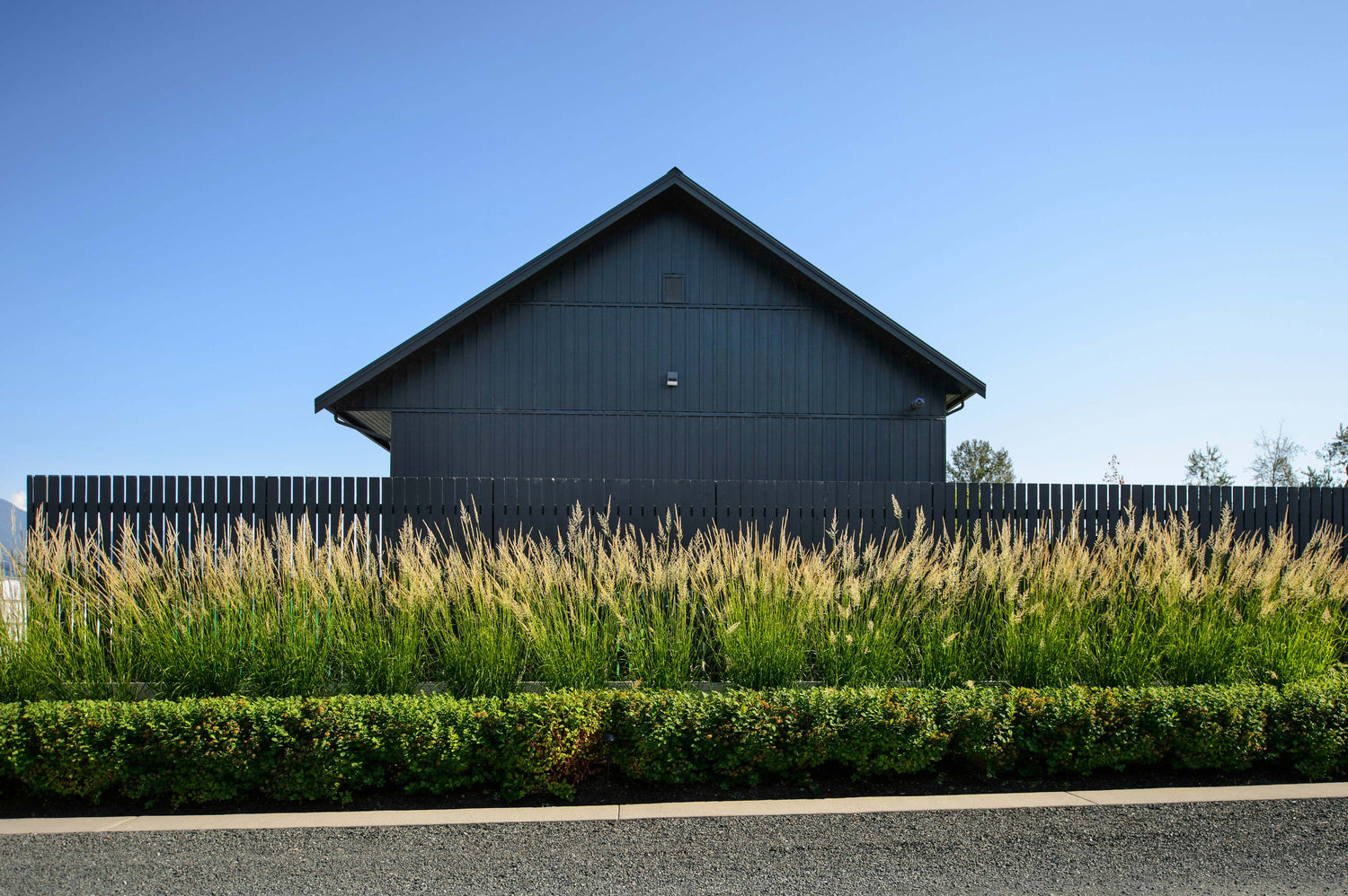 Bold black out building against brilliant blue sky with black picket fence, grasses and shrubs in the foreground. 