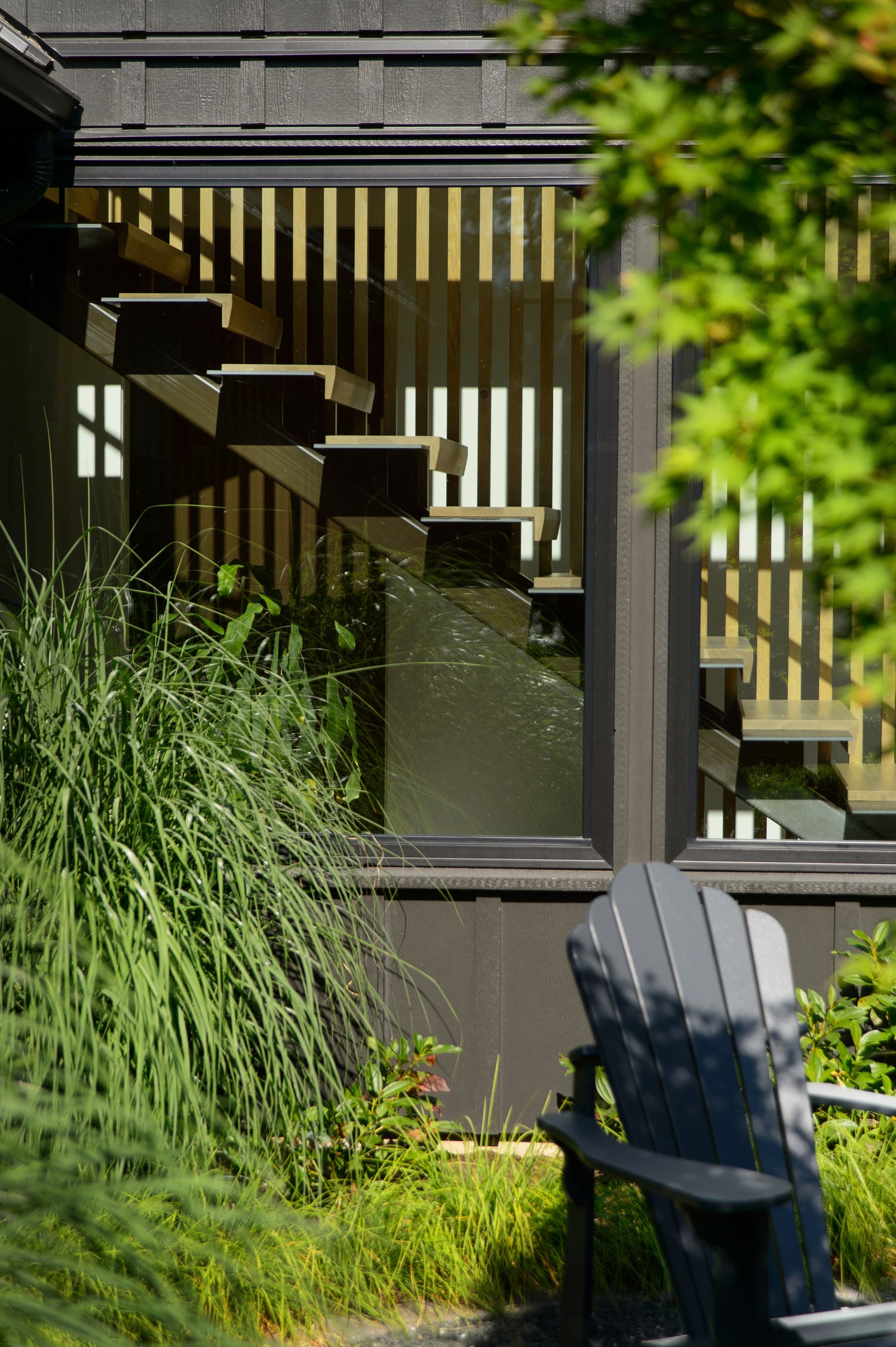 Close-up view of landscape design, grasses in front of a window. 