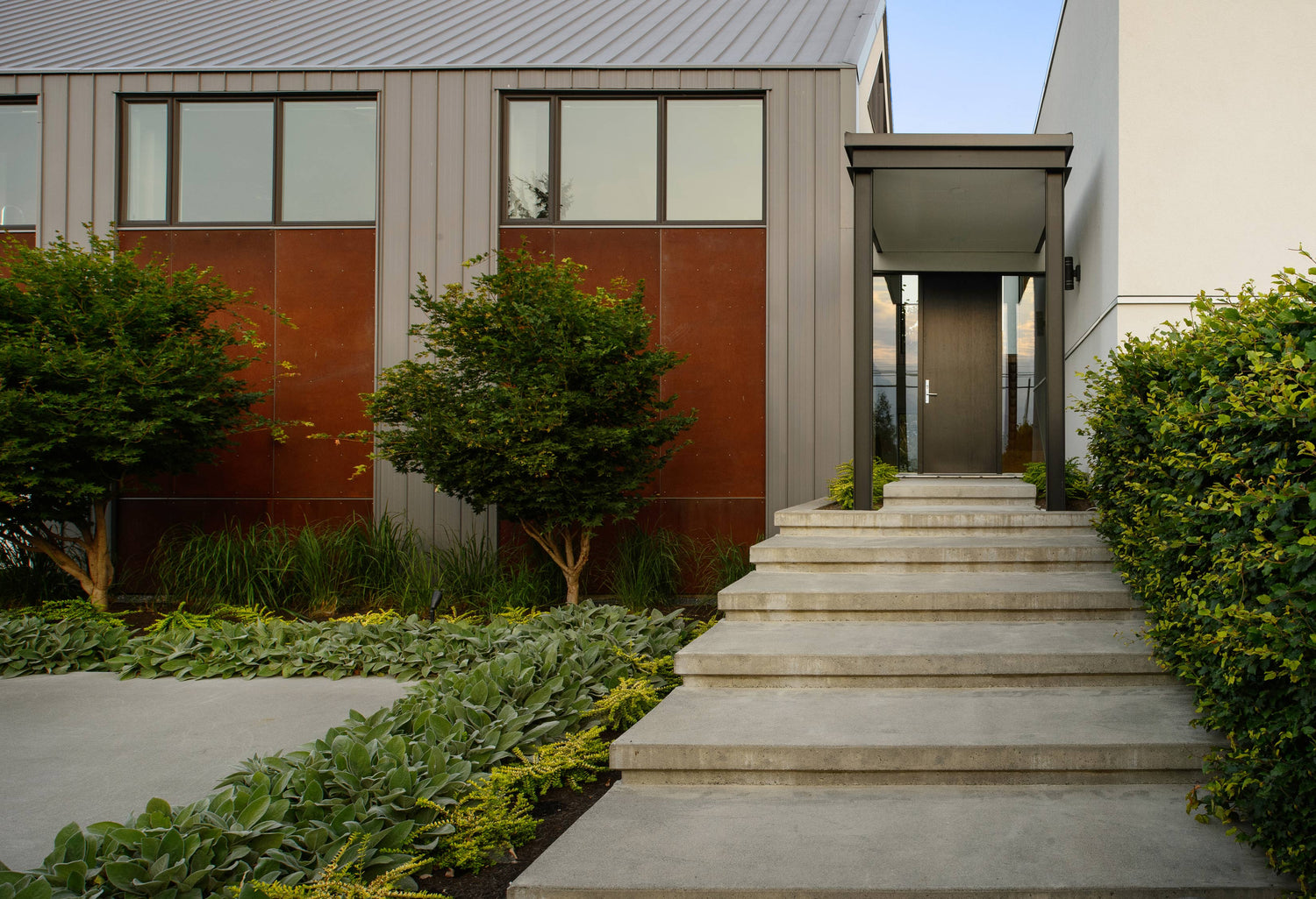Landscape design with cement steps leading to a corten and metal house. Planting on either side of steps. 