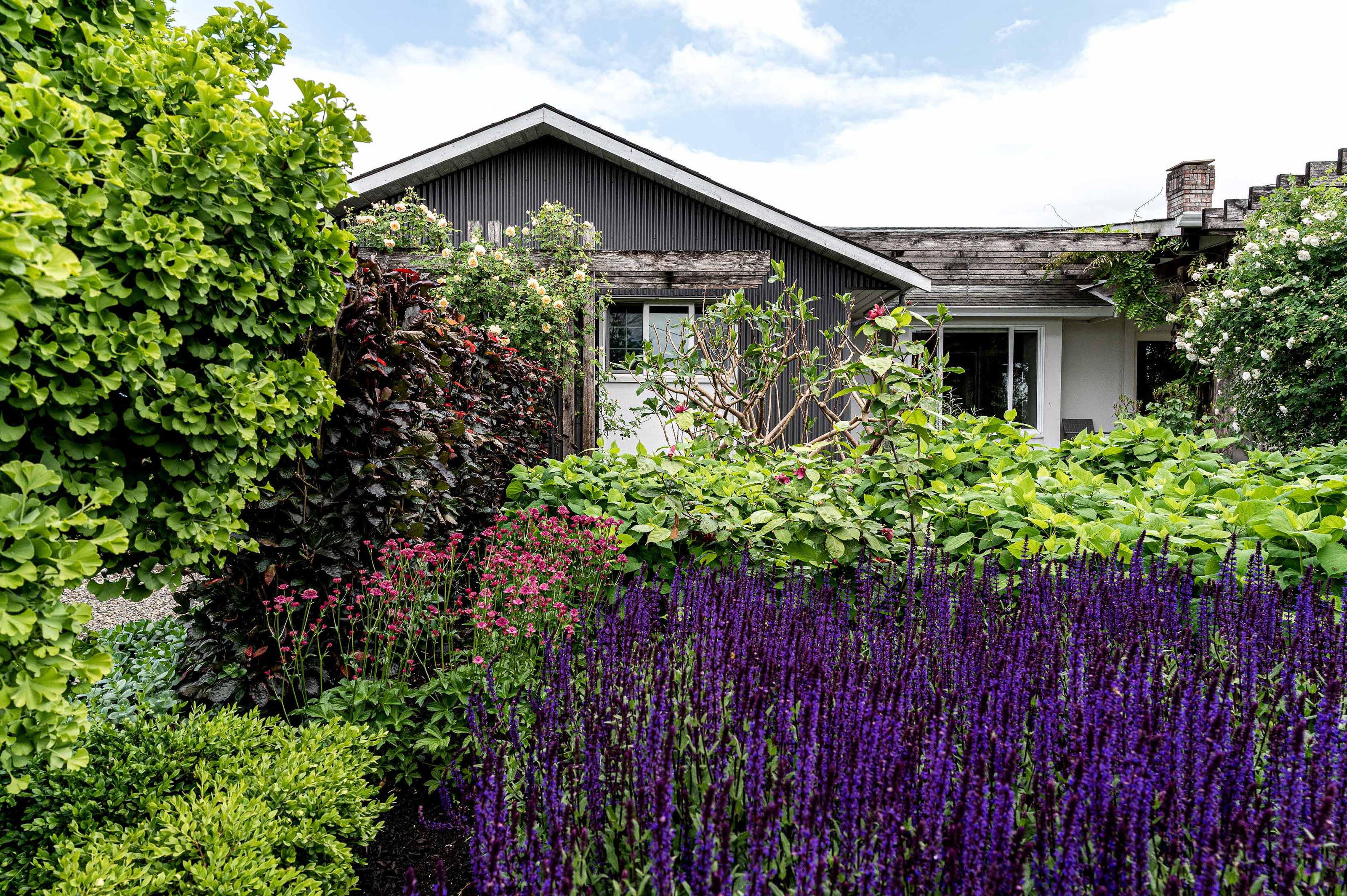 Layers of plants, flowers and shrubs in front of a house. 