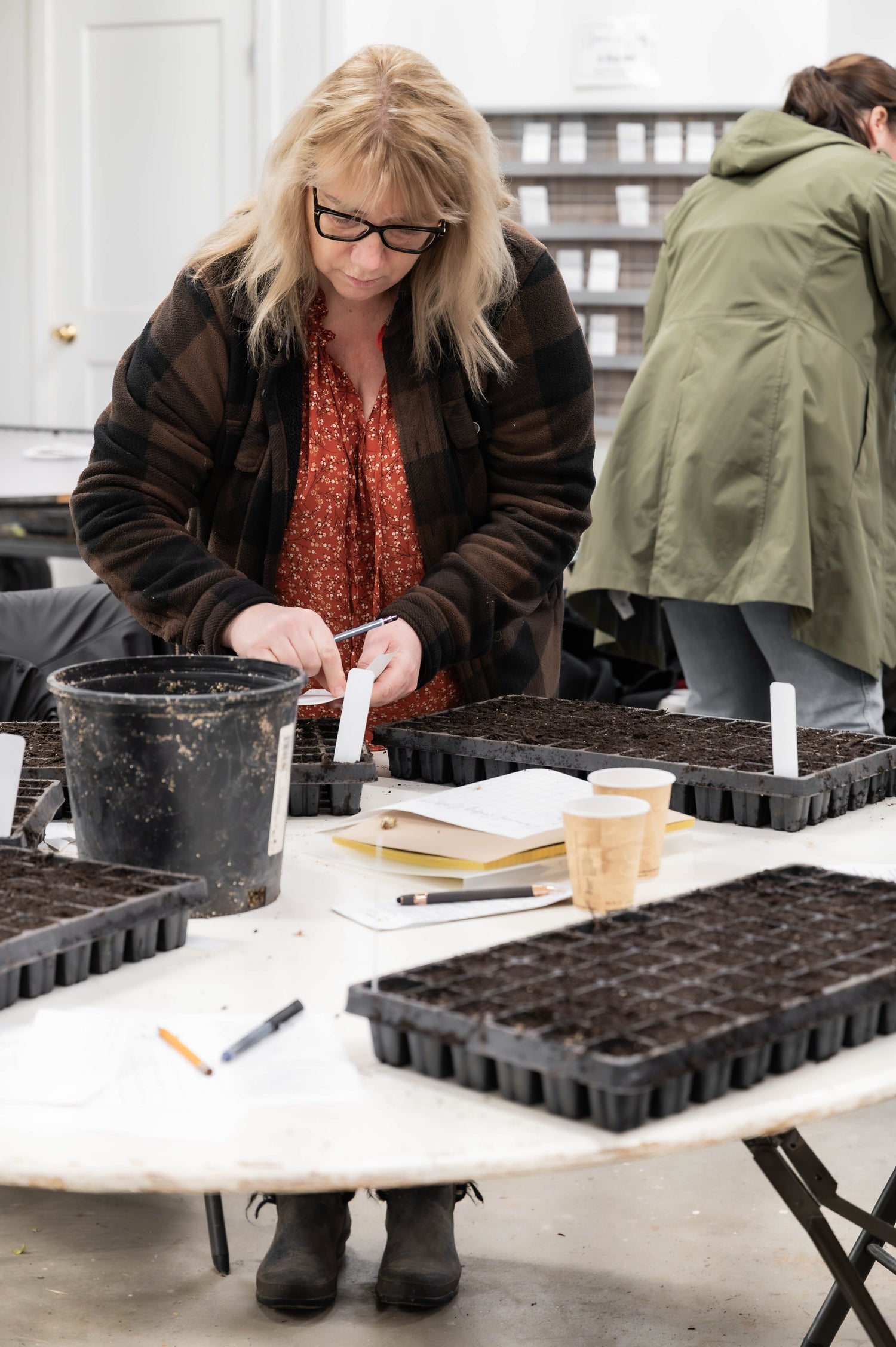 Woman planting seeding in pods. 
